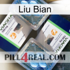 Liu Bian viagra5